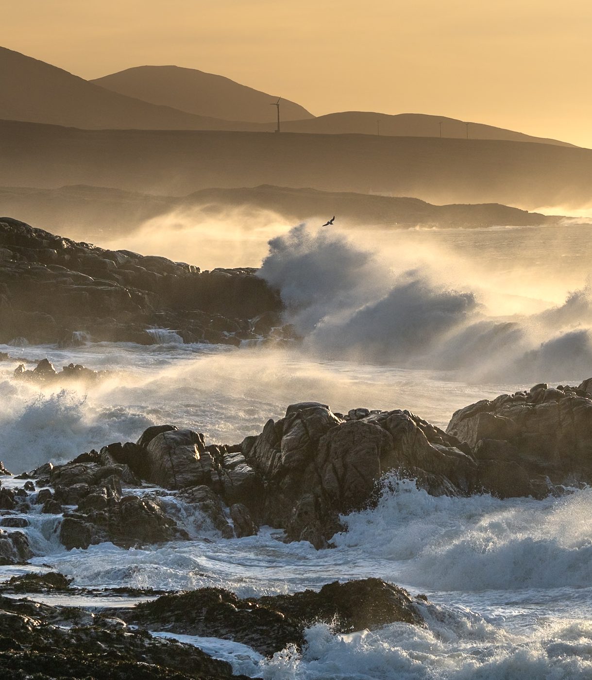 Waves crashing at golden hour